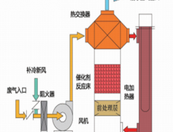 为全球生态保护贡献中国力量